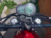 Benelli Leoncino 500