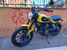 Ducati Scrambler ICON 800